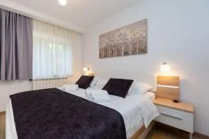 Apartman ANGOLO VERDE - Vižinada
