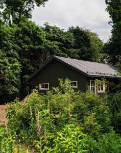 Svečių namelis KNYGŲ NAMAS