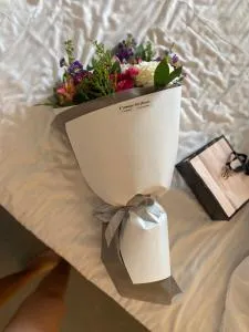 Studio Peacock - 科基诺斯皮格斯