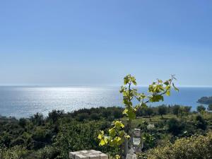 Yiannis & Victoria Villa