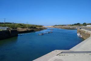 Willow Bungalow Quiet and secluded