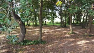 Chambres dHôtes du Manoir du Haut Salmon