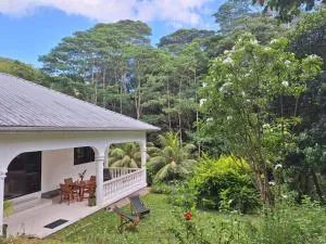 Maison Palmier - 塔卡马卡