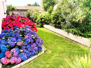 Maisons de vacances L Oiseau du Paradis : photos des chambres