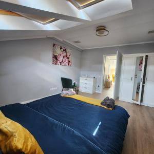 City Center Apartment -M