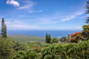 Experience ocean views at Hale Mauka, a spacious 3-bedroom retreat in Captain Cook, HI.