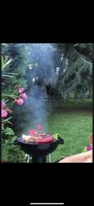 Central Complex Anita