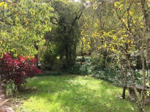 HOSTEL INKA PACCHA - cascada inka