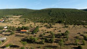 Hedonica house