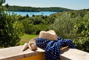 Apartments Villa Ada