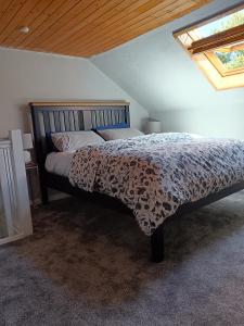 Dingle Escape -2 Bed -Sleeps 4