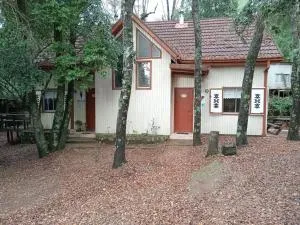 Cabañas La Leona - Colbún Alto