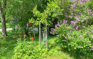 Amazing Home In Sävsjö With Wifi