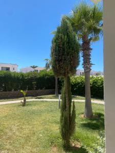 Blanca beach retreat