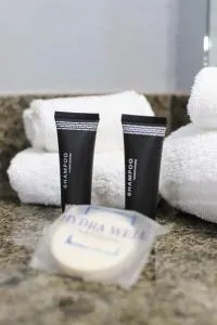 Express Inn - 阿托卡