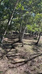 Vila Dravida Petar - Eldorado