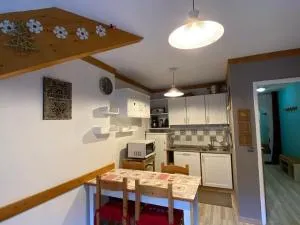 Appartement 3 pièces 6 personnes, accès direct pistes, proche télécabine et commerces - FR-1-265-198 - Modane