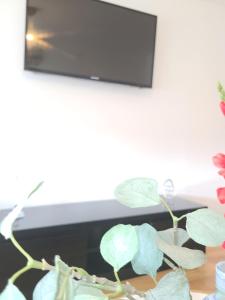 Sejours chez l'habitant Family-friendly First-class Appartment : photos des chambres
