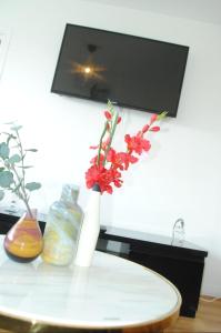 Sejours chez l'habitant Family-friendly First-class Appartment : photos des chambres