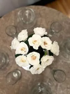 At your stay in the Pocono Cabin you will have access to the four community pools, paddle boats two lakes, nature trails, basketball courts, tennis courts, parks, and the Tobyhanna state park - 托比汉纳