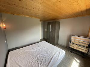 Beau duplex 6 pers. à 200m des pistes, parking gratuit - FR-1-787-11
