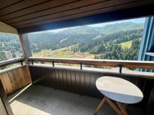 Appartement T2 cabine proche pistes avec balcon et casier à skis - FR-1-787-13