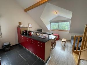 Appartements Appartement duplex avec vue, parking et Wifi - FR-1-787-6 : photos des chambres