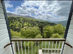 Appartement spacieux avec animaux admis et parking gratuit - FR-1-787-18