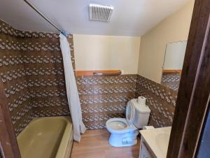Tiny Wood Cottage 10