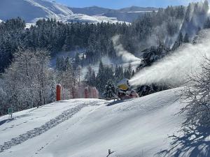 Studio-cabine-mezzanine exposé sud avec navette gratuite, casier à skis et tout confort - FR-1-787-28