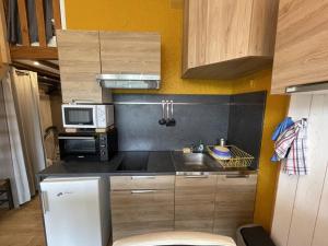Appartements Studio renove au pied des pistes, ideal pour 4 pers, avec WiFi, animaux acceptes, casier a skis inclus - FR-1-787-54 : photos des chambres