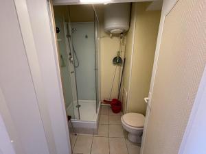 Appartements Studio fonctionnel aux pieds des pistes avec balcon et Wi-Fi, Laveissiere - FR-1-787-64 : photos des chambres