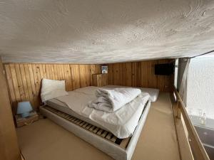Studio spacieux 40m², pieds des pistes, wifi, équipements bébé, animaux admis, Laveissière - FR-1-787-58