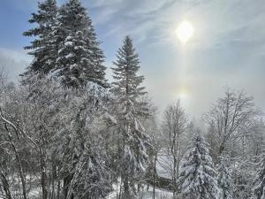 Studio au pied des pistes avec Wifi, idéal pour 4 personnes, proche commerces et patinoire - FR-1-787-63