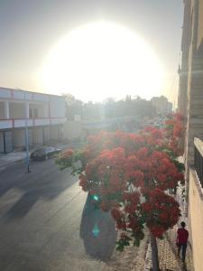 فندق الساحل بجوار السينما السلام والسيرك العالمي وفندق السلام