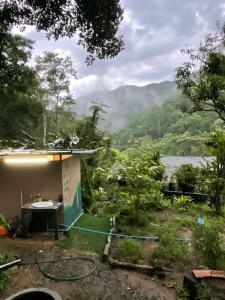 Coffee view camping ,Chiangmai