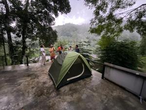 Coffee view camping ,Chiangmai
