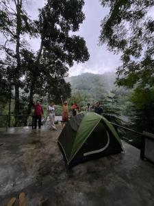 Coffee view camping ,Chiangmai
