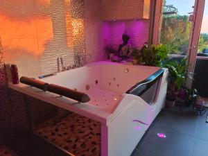 Love hotels Spa de la Lune - Private love room suite with terrace and view - Air Conditioned- Double jacuzzi - Sauna - King size bed - Free WIFI - Free parking - Free breakfast - Close to CDG airport and to the North of Paris : photos des chambres