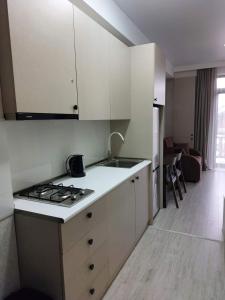 Bakuriani Didveli Residence