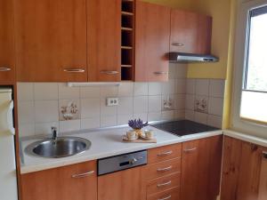 Apartment Kolman