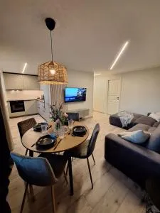 Laine apartment - Tammiste