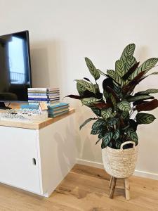 Causy Rooftop Apartment St. Idesbald