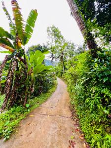 Polatagama Jungle Eco Resort