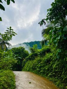 Polatagama Jungle Eco Resort