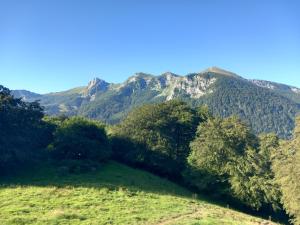 Appartements ArriuMage : photos des chambres