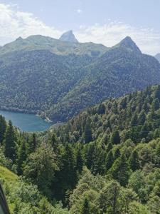 Appartements ArriuMage : photos des chambres