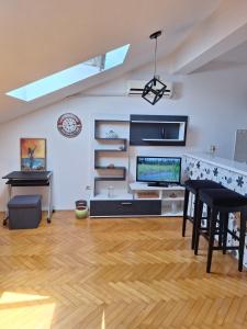 Studio Cvet Exit 2024