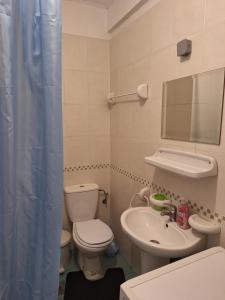 Studio Cvet Exit 2024