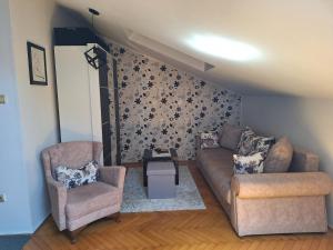 Studio Cvet Exit 2024